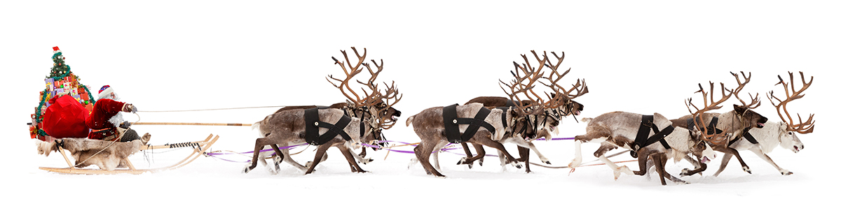 Happy Holidays!